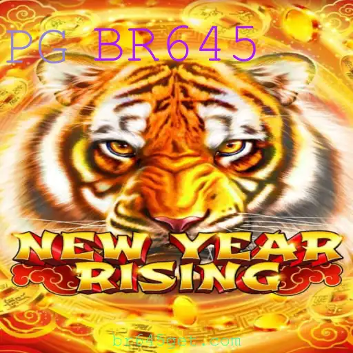 Explorando NewYearRising: Um Mergulho nas Regras e Descrição do Jogo